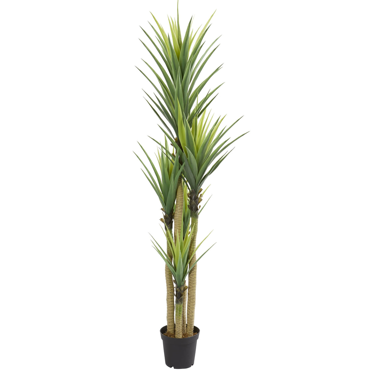 7' Dracaena Artificial Plant by Nearly Natural