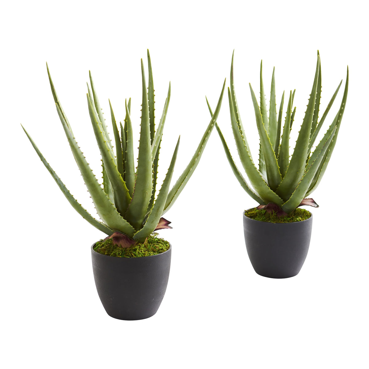 18" Aloe Artificial Plant (Set of 2) by Nearly Natural