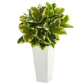 32" Variegated Rubber Plant in White Tower Planter by Nearly Natural