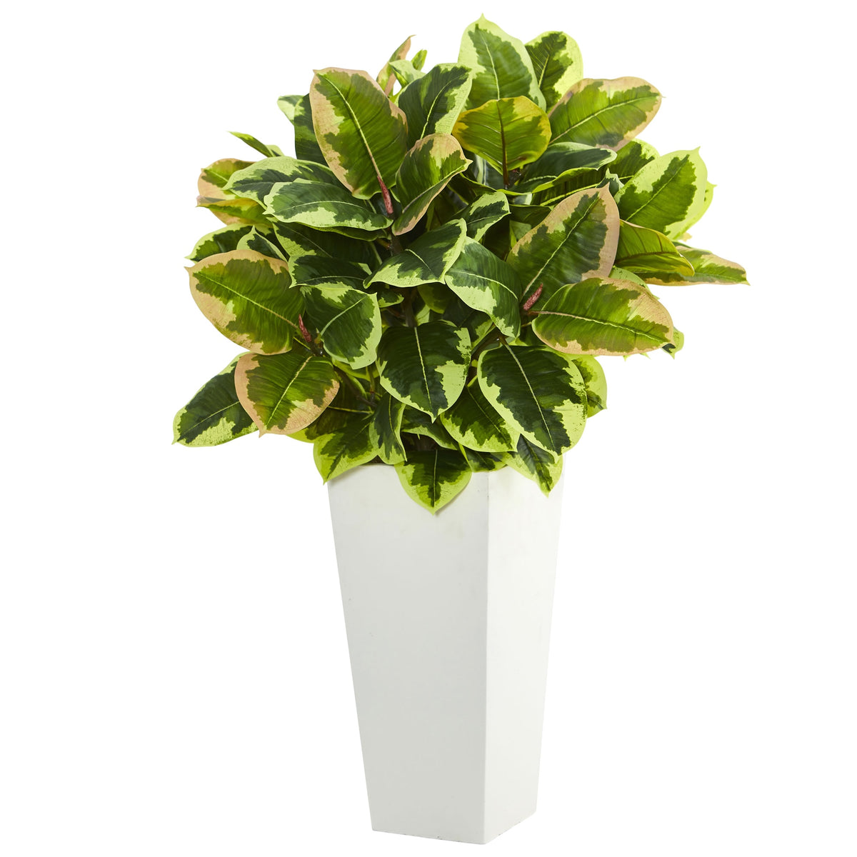32" Variegated Rubber Plant in White Tower Planter by Nearly Natural