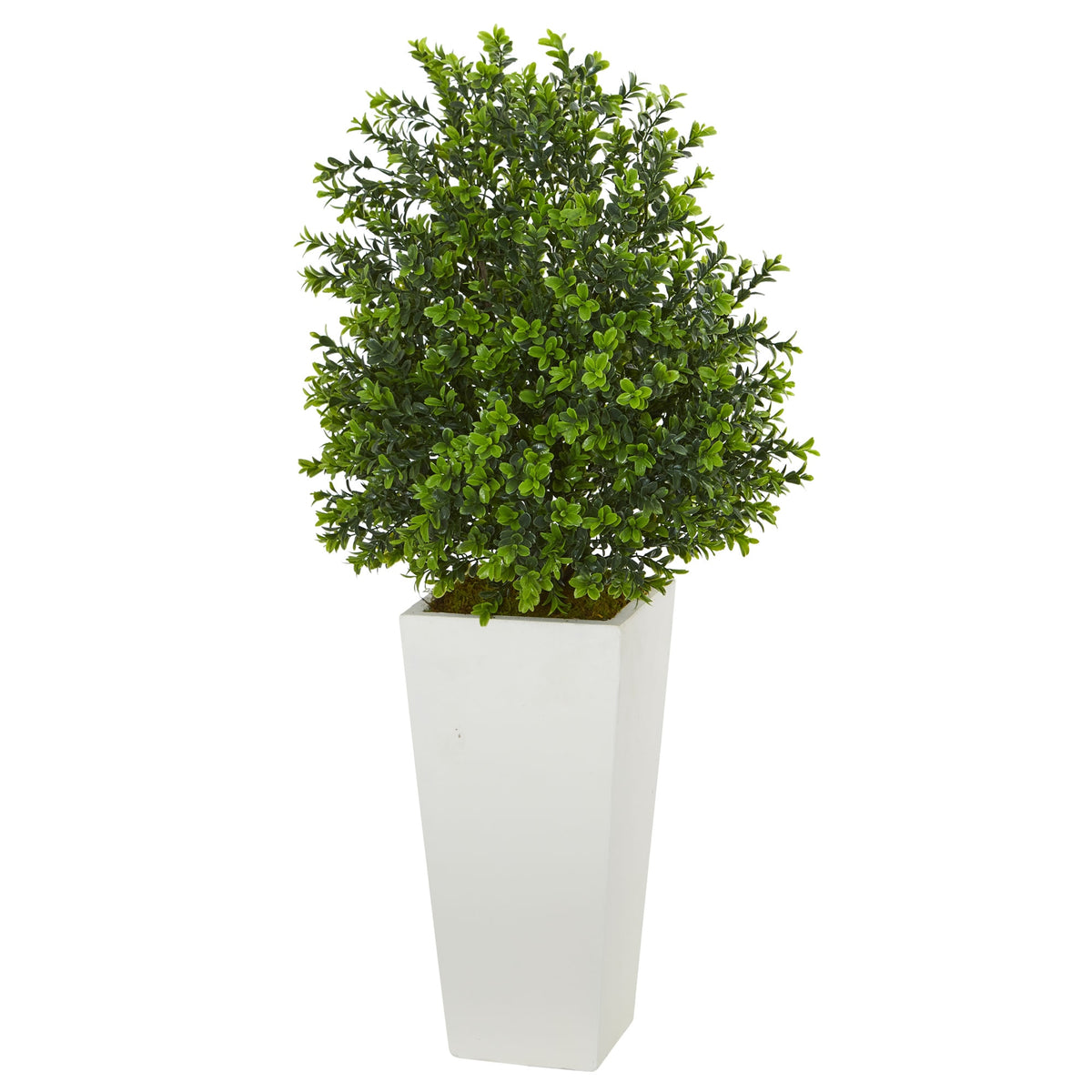 33" Sweet Grass Plant in White Planter (Indoor/Outdoor) by Nearly Natural