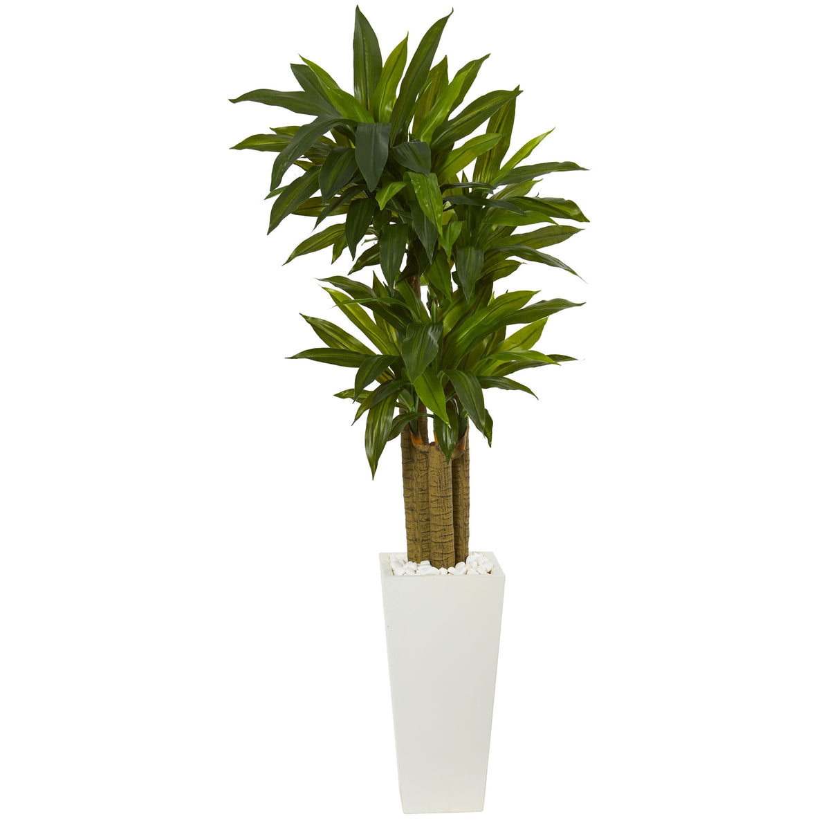 5' Cornstalk Dracaena Plant in White Tower Planter by Nearly Natural