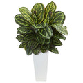 3' Maranta Plant in White Tower Vase by Nearly Natural