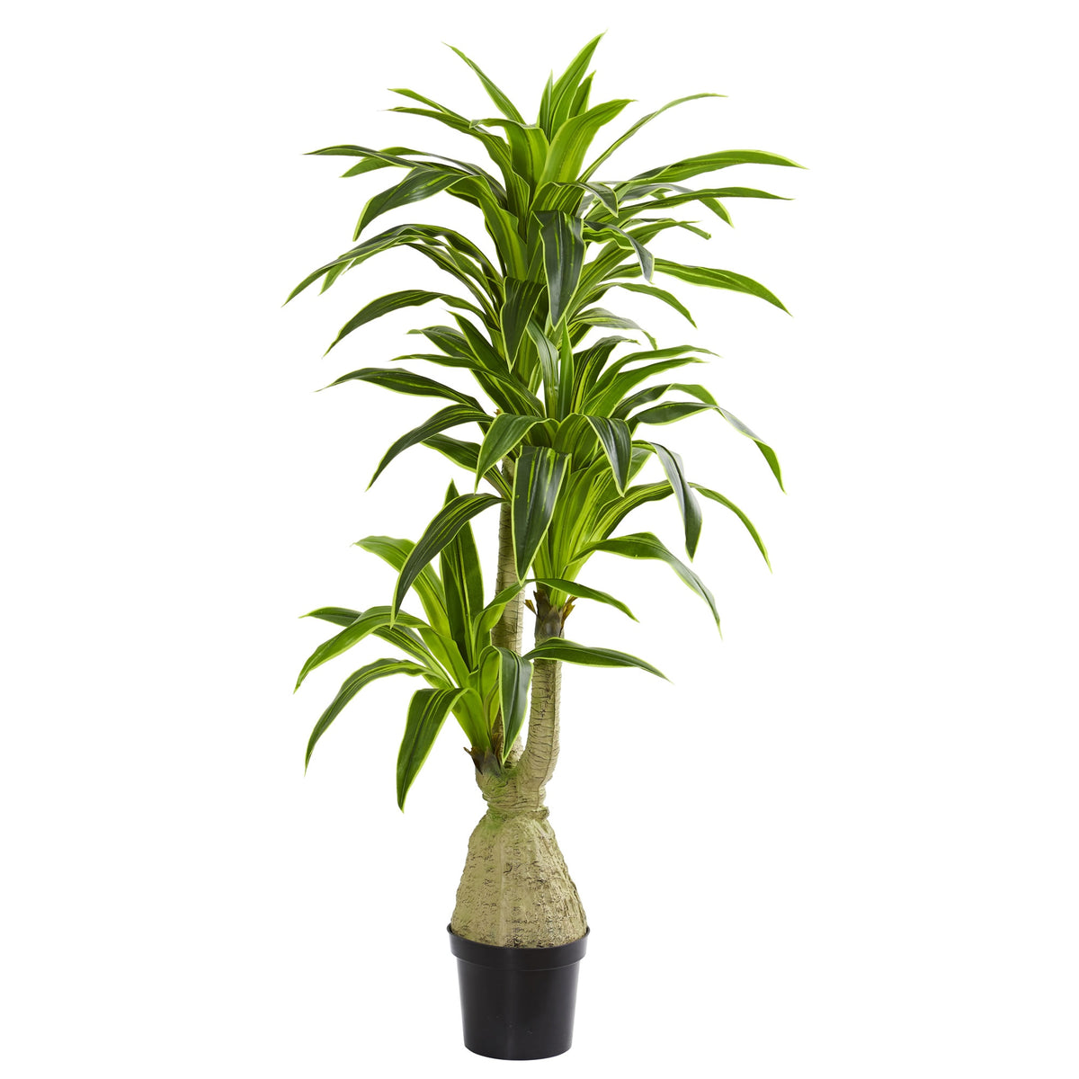 6.5' Dracaena Artificial Plant by Nearly Natural