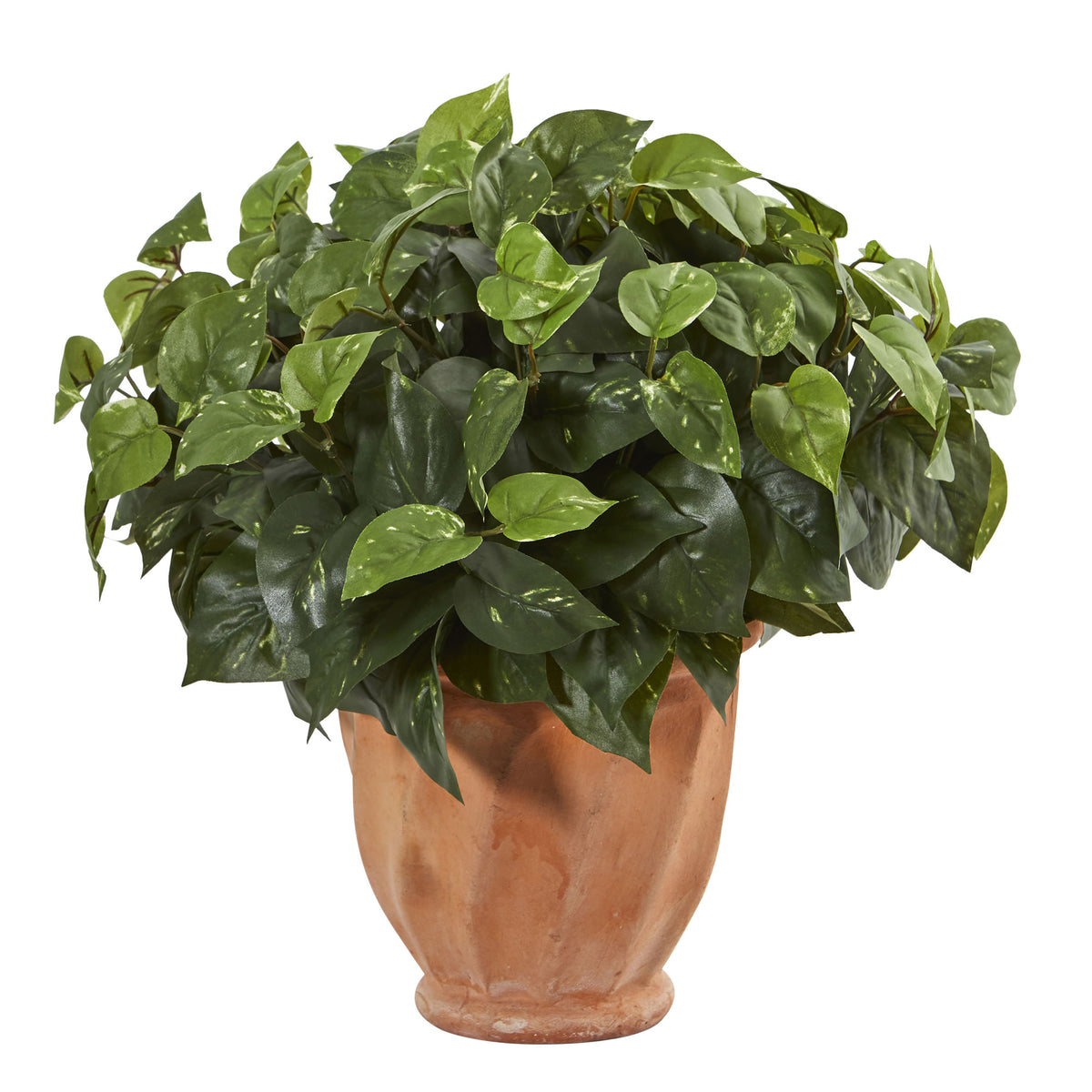17" Pothos in Terracotta Planter by Nearly Natural