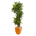 5.5' Dracaena Plant in Orange Square Planter (Real Touch) by Nearly Natural