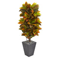 5.5' Croton Artificial Plant in Slate Planter (Real Touch) by Nearly Natural