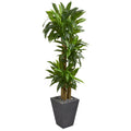 5.5' Cornstalk Dracaena Plant in Slate Planter (Real Touch) by Nearly Natural