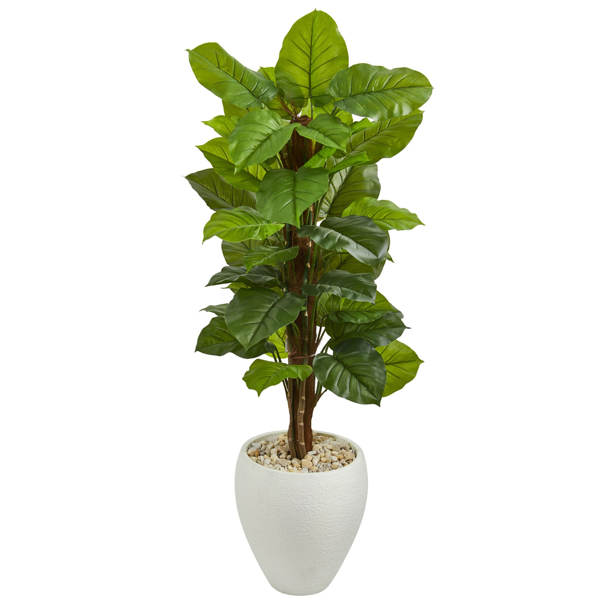 5' Large Leaf Philodendron Plant in Planter (Real Touch) by Nearly Natural