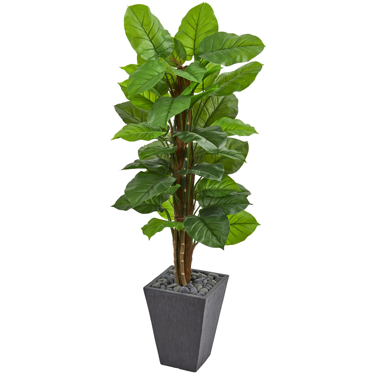5' Large Leaf Philodendron Plant Slate Planter (Real Touch) by Nearly Natural