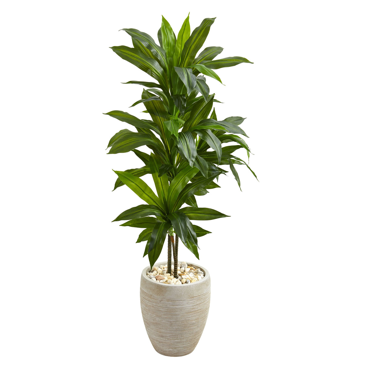 4' Dracaena Plant in Sand Colored Planter (Real Touch) by Nearly Natural