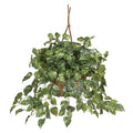 Pothos Hanging Basket by Nearly Natural in Green