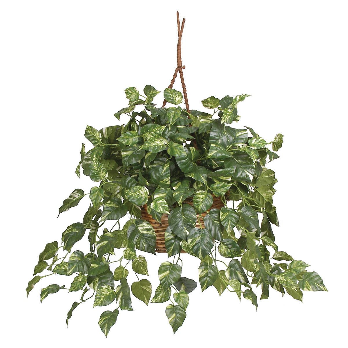 Pothos Hanging Basket by Nearly Natural in Green