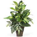 Mixed Greens Silk Plant by Nearly Natural in Green