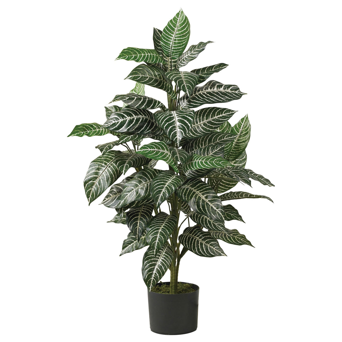 3' Zebra Silk Plant by Nearly Natural in Green