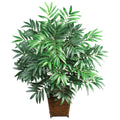 Bamboo Palm w/Wood Wicker Basket by Nearly Natural in Green