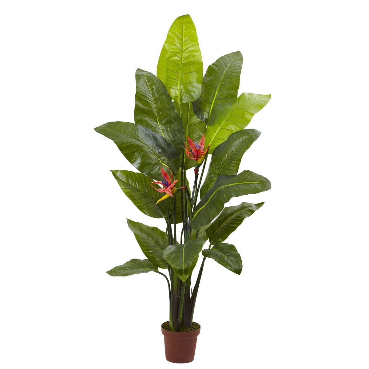 58" Bird of Paradise Plant (Real Touch) w/15 Lvs by Nearly Natural