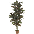 5' Cordyline Plant (Real Touch) by Nearly Natural in Green