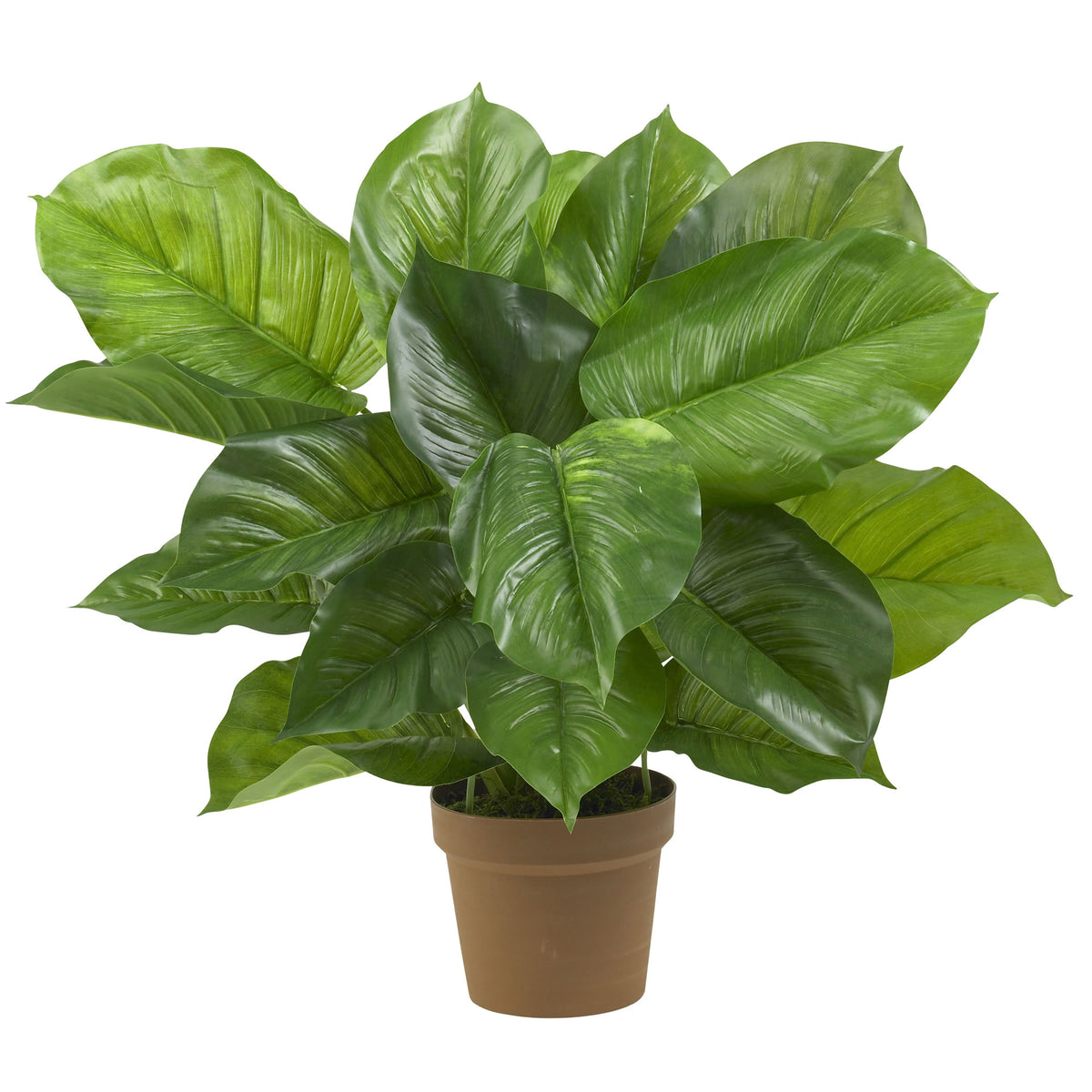 27" Large Leaf Philodendron Silk Plant (Real Touch) by Nearly Natural in Green