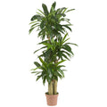 57" Corn Stalk Dracaena Artificial Plant (Real Touch) by Nearly Natural in Green