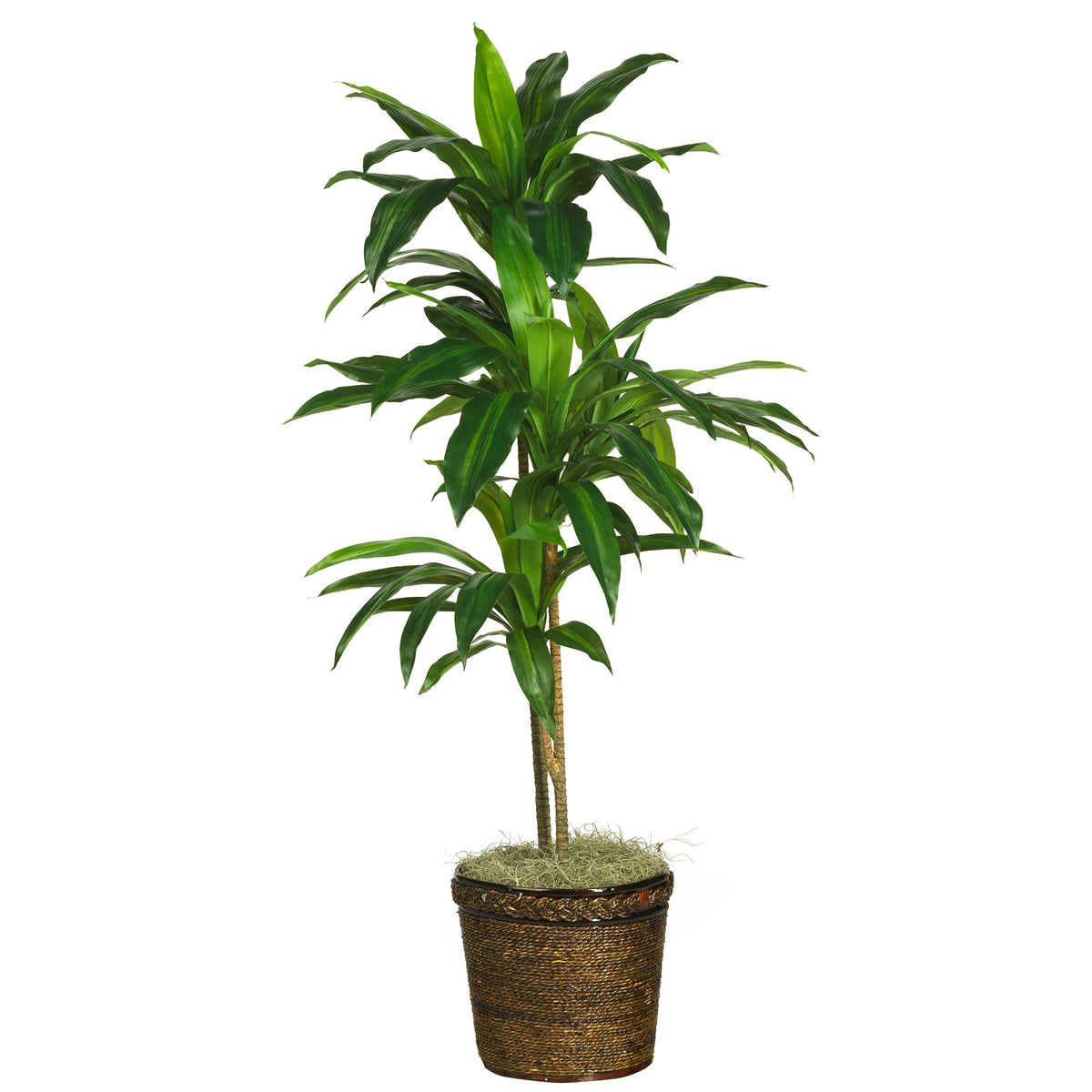 48" Dracaena w/Basket Silk Plant (Real Touch) by Nearly Natural in Green