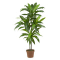 4' Dracaena (Real Touch) by Nearly Natural in Green