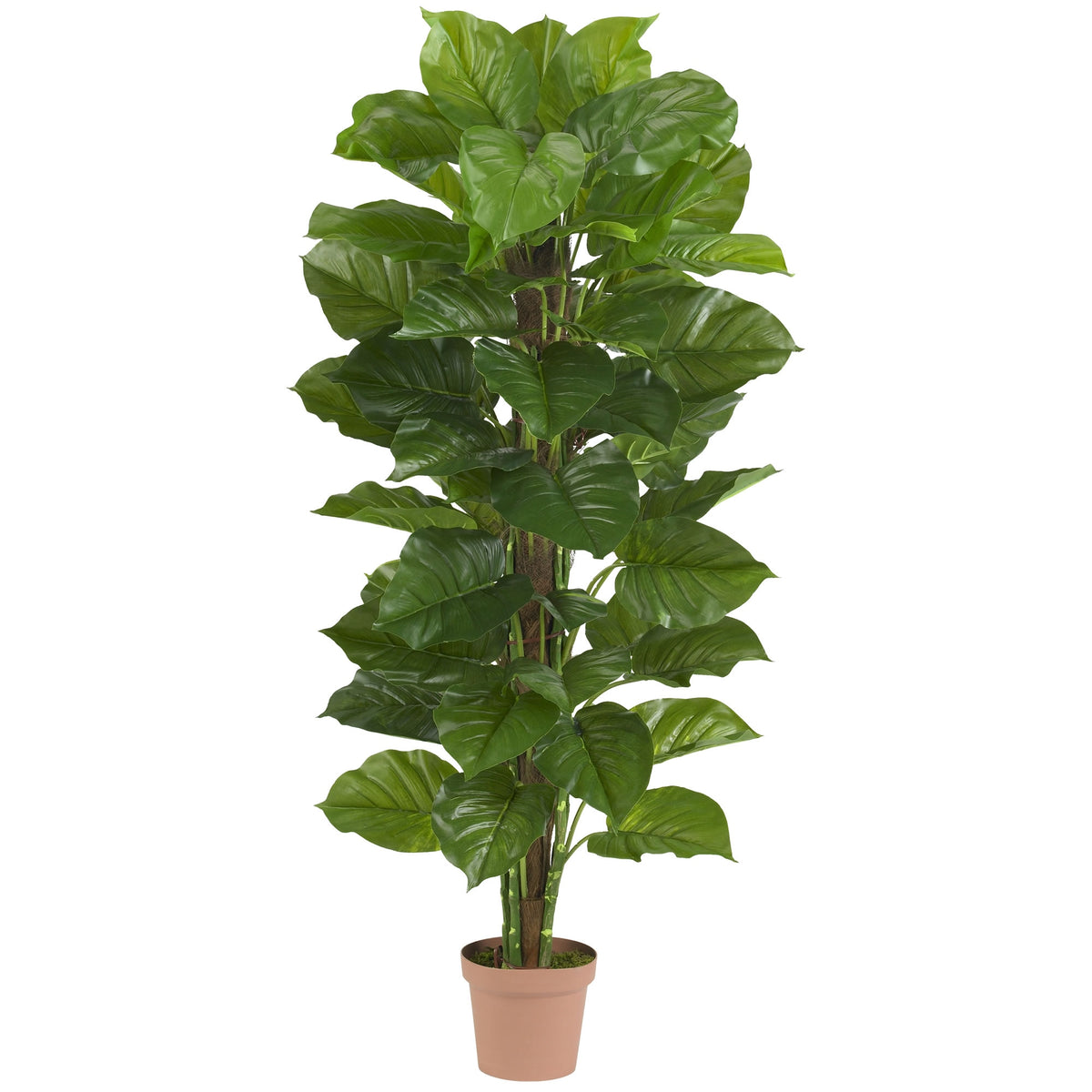 63" Large Leaf Philodendron Plant (Real Touch) by Nearly Natural in Green