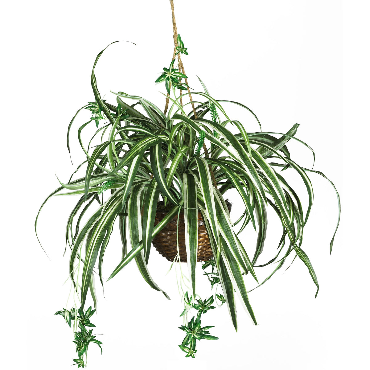 27 inch Spider Hanging Basket by Nearly Natural in Green
