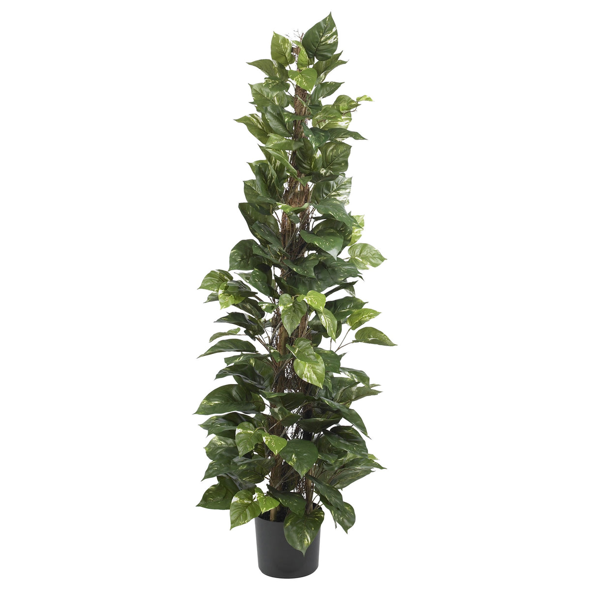 63" Pothos Climbing Silk Plant by Nearly Natural in NA