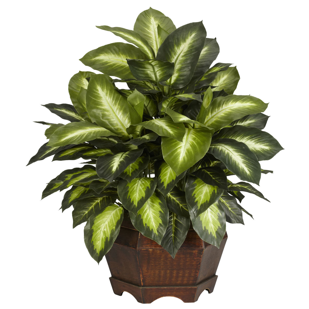 Golden Dieffenbachia w/Large Hexagon by Nearly Natural in Green