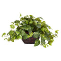 15" Pothos w/Decorative Planter by Nearly Natural in Purple