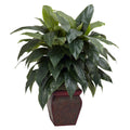 Cordyline w/Decorative Vase by Nearly Natural in Green