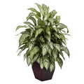 Silver Queen w/Decorative Planter Silk Plant by Nearly Natural in Green