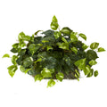 Pothos Ledge Plant (Set on Foam) Silk Plant by Nearly Natural in Green