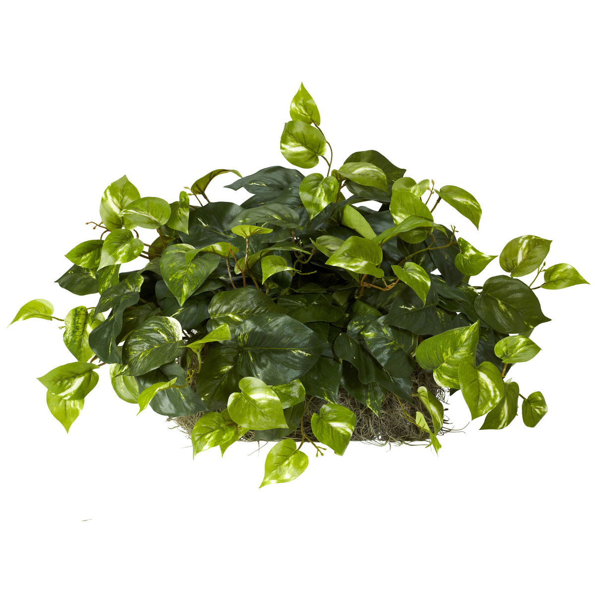 Pothos Ledge Plant (Set on Foam) Silk Plant by Nearly Natural in Green