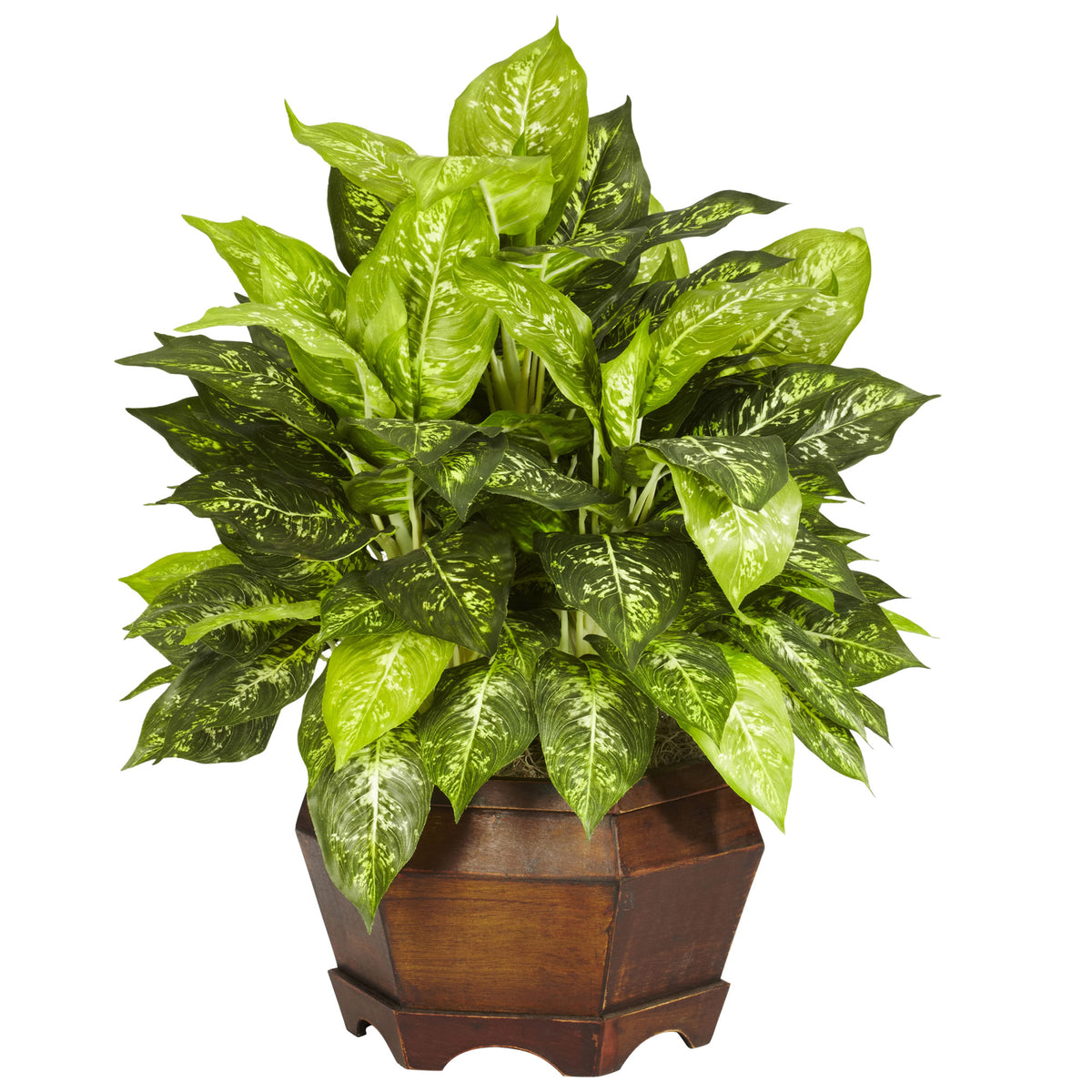 Variegated Dieffenbachia w/Large Hexagon Silk Plant by Nearly Natural in Green