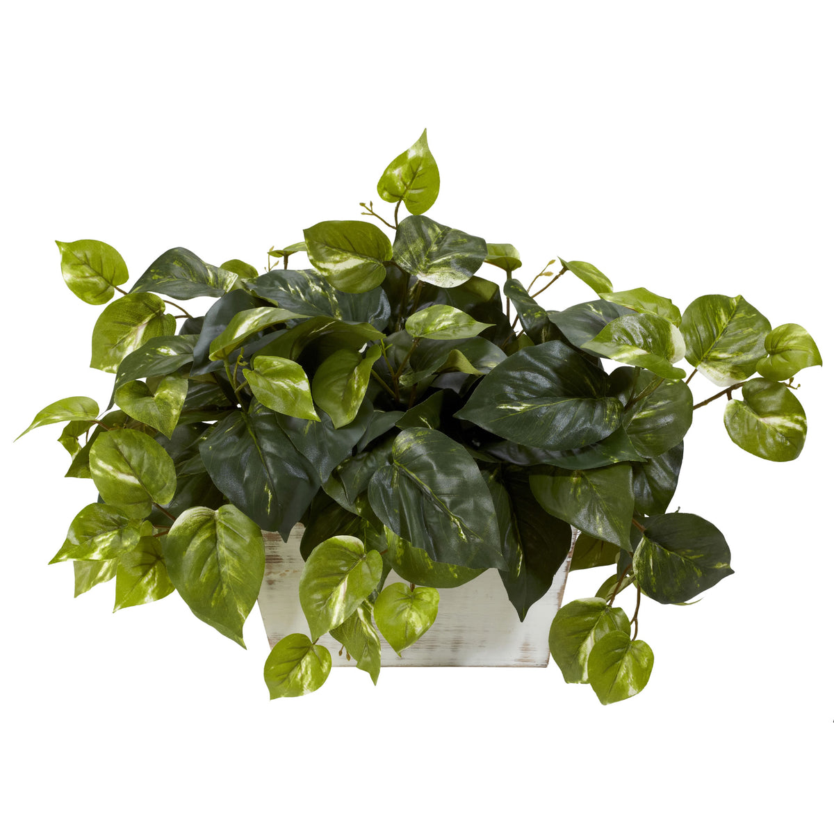 Pothos w/White Wash Planter Silk Plant by Nearly Natural in Green