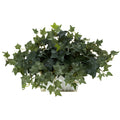 Ivy w/White Wash Planter Silk Plant by Nearly Natural in Green
