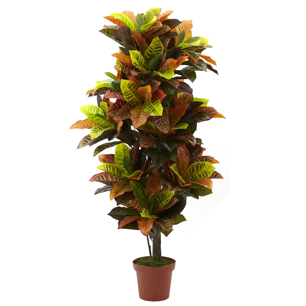 56" Croton Plant (Real Touch) by Nearly Natural