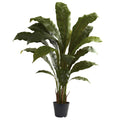 3.5' Birdsnest Plant by Nearly Natural