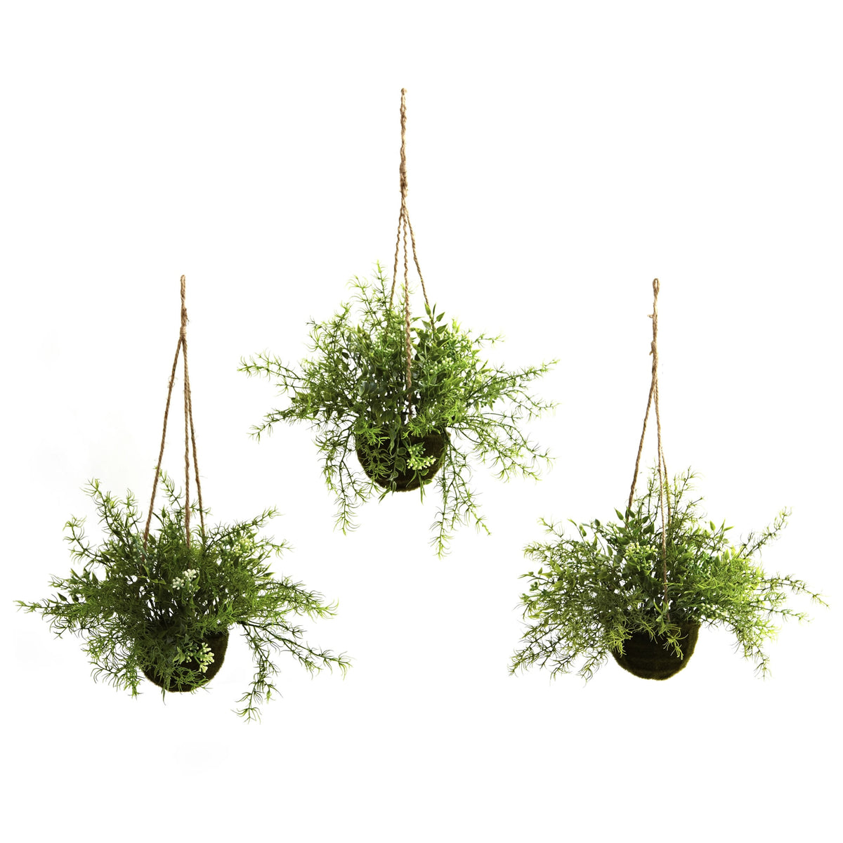 Ruscus Sedum & Springeri Hanging Basket (Set of 3) by Nearly Natural