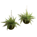Leather Fern w/Hanging Basket (Indoor/Outdoor) (Set of 2) by Nearly Natural