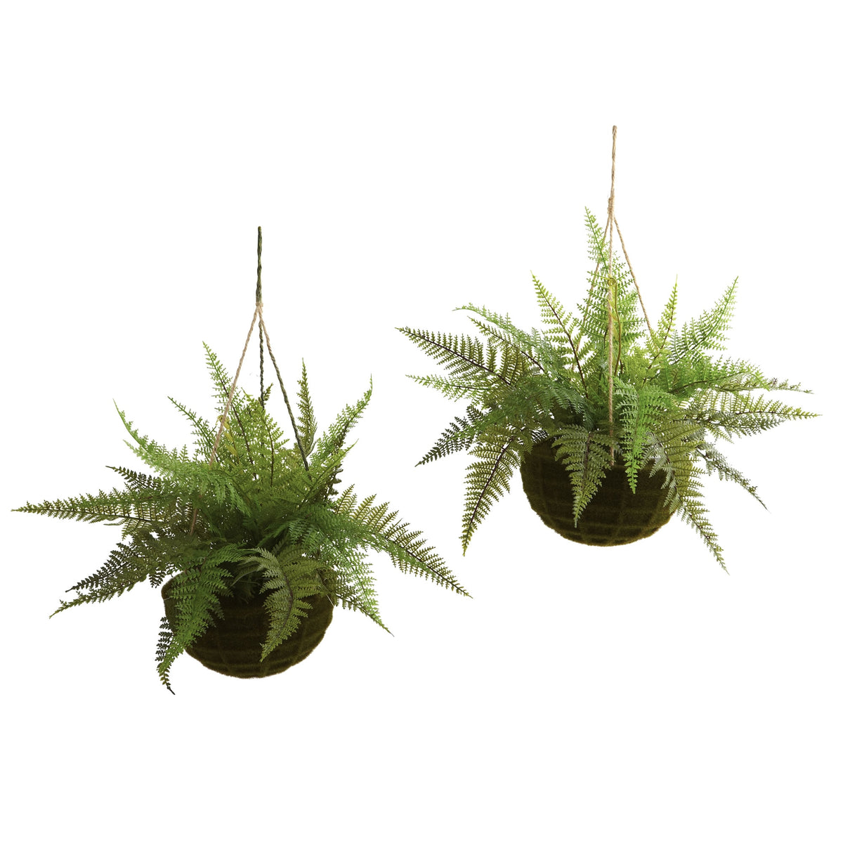 Leather Fern w/Hanging Basket (Indoor/Outdoor) (Set of 2) by Nearly Natural