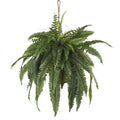 Large Boston Fern Hanging Basket by Nearly Natural