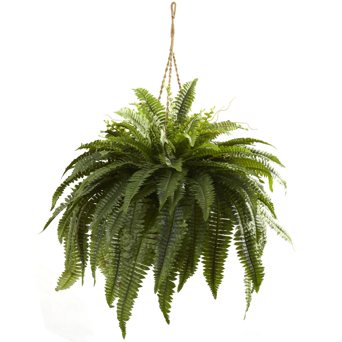 Double Giant Boston Fern Hanging Basket by Nearly Natural