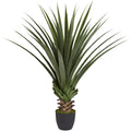 4' Spiked Agave Plant w/361 Lvs by Nearly Natural