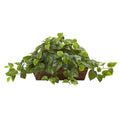 15" Pothos w/Ledge Basket by Nearly Natural