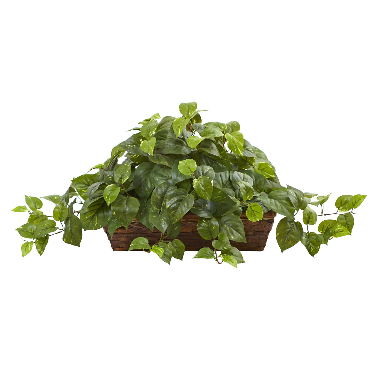 15" Pothos w/Ledge Basket by Nearly Natural