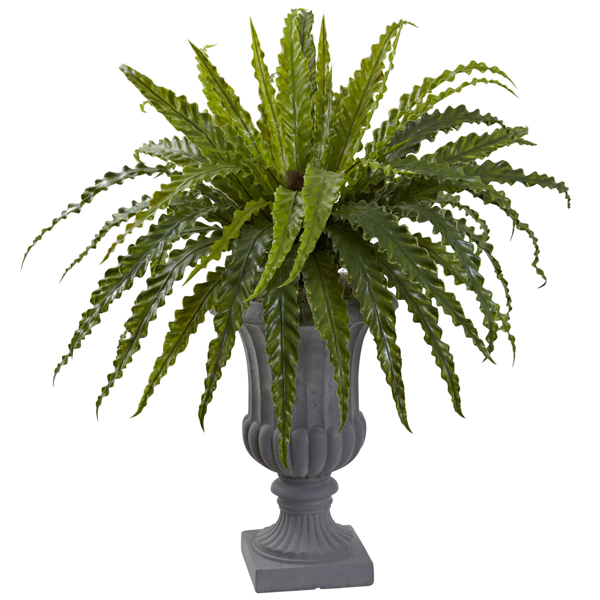 30" Birdsnest Fern with Urn by Nearly Natural