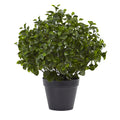 23" Peperomia Plant UV Resistant (Indoor/Outdoor) by Nearly Natural